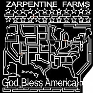 Maize 2003