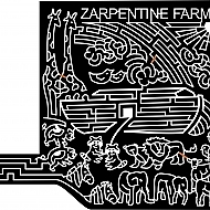 Maize 2007