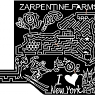 Maize 2008