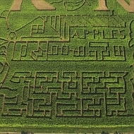 2019Maize_1.1.3
