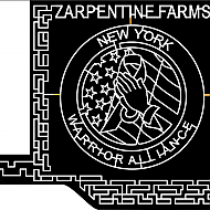Maize 2004